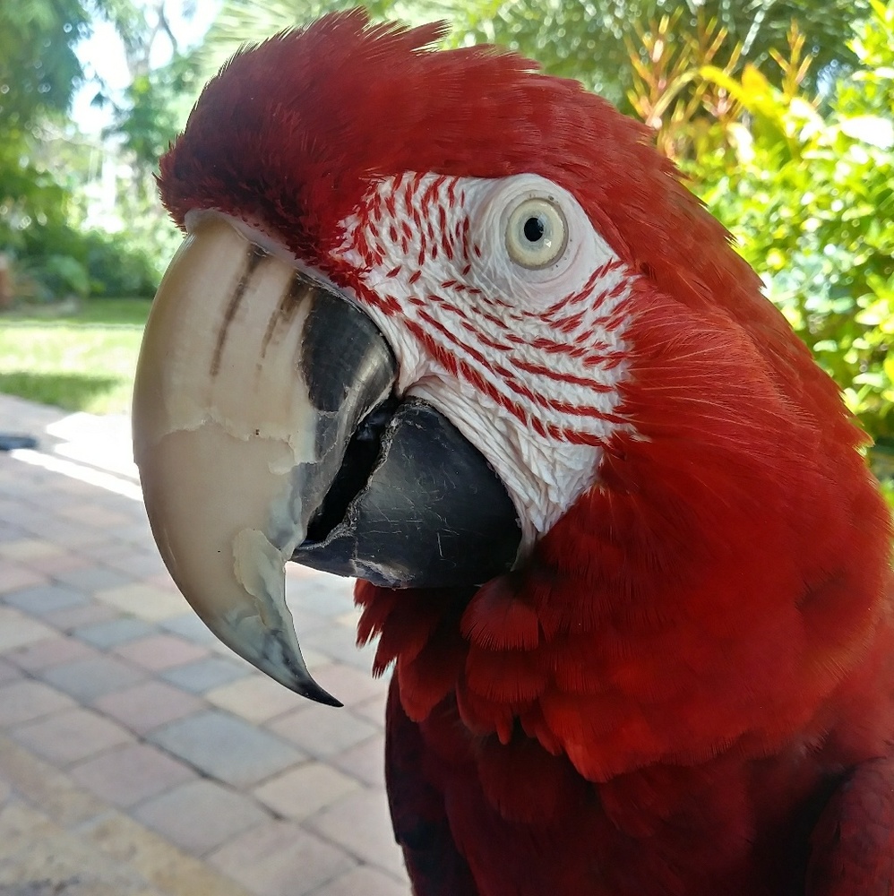 Meet your Posher, Micki